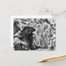 Search for black and white angel postcards Photography