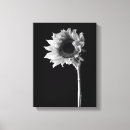 Search for black and white flowers canvas prints Elegant