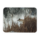 Search for 3x4 cards Landscapes