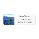 Search for state texas return address labels Lone star state