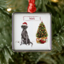 Search for black lab christmas tree decorations Labrador