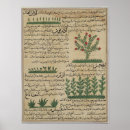Search for arabic text posters Manuscript