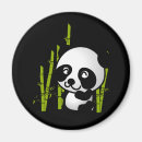 Search for black bear magnets Panda