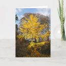 Search for ginkgo cards Fall