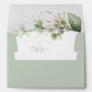Search for eucalyptus envelopes Elegant nature botanical