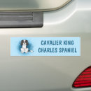 Search for spaniel bumper stickers Cavalier