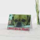 Search for puggle postcards Puppy