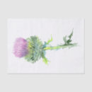 Search for thistle tissue paper Watercolor
