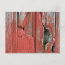 Search for old barn postcards Rustic