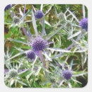 Search for sea plants stickers Coastal