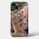 Search for americans ipad cases Park