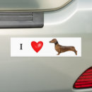 Search for dachshund bumper stickers Red