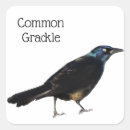 Search for common square stickers Wildlife