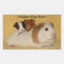 Search for guinea pig stickers Cute