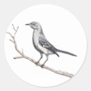 Search for mockingbird stickers Texas