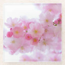 Search for japanese cherry blossom coasters Pink