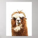 Search for alpaca posters Humor