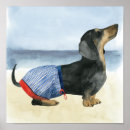 Search for dachshund art Pet
