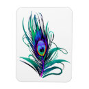 Search for feather magnets Peacock feathers