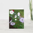 Search for variety cards Flowers