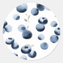 Search for blueberry stickers Minimalist