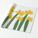 Search for easter daffodils Colourful