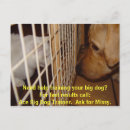 Search for big dog postcards Dogs