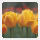 Search for horticulture stickers Flora