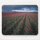 Search for glow in the dark mouse mats Pink