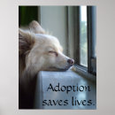 Search for pomeranian posters Animals