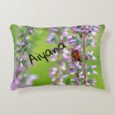 Search for ladybird cushions Insect