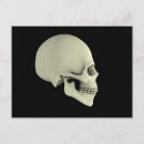 Search for skull illustration postcards Medicine