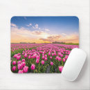 Search for tulip bulbs electronics Nature