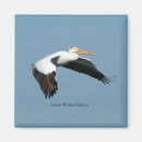 Search for pelicans magnets Animal