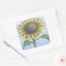 Search for beautiful sunflower stickers Floral