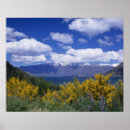 Search for queenstown posters Vacation