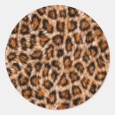 Search for wildcats stickers Feline