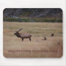 Search for yellowstone mouse mats Landscape
