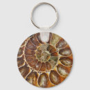 Search for prehistoric key rings Fossil