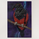 Search for dracula puzzles Horror