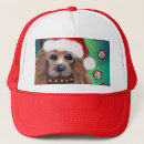 Search for toy hats Terrier