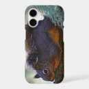 Search for cute animal pictures iphone cases Wildlife photography