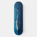 Search for predators skateboards Shark