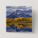 Search for nps badges Autumn
