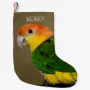 Search for caique home living White bellied caique