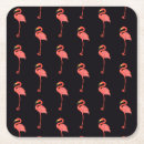 Search for friendly coasters Fun