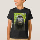 Search for apparels photography Wildlife