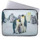 Search for penguin laptop cases Snow hill island