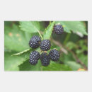 Search for juicy fruit stickers Garden