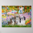 Search for shih tzu posters Pets